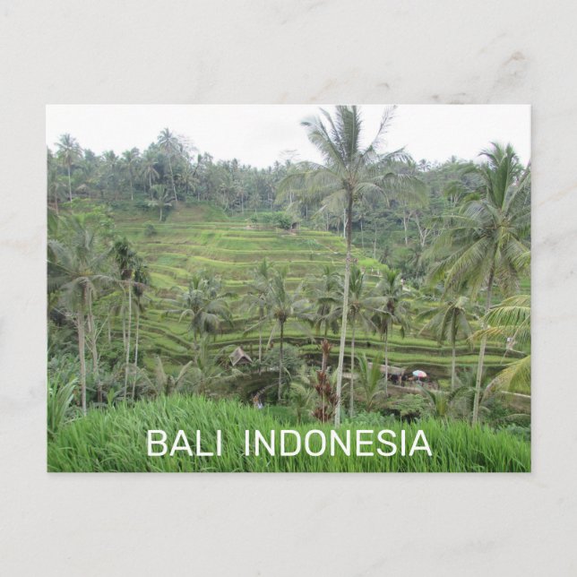 Cartão postal Bali Indonésia (Frente)
