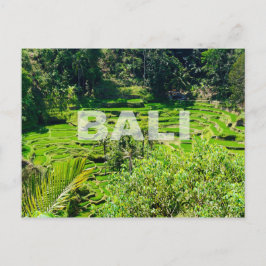 Cartão Postal Bali Rice Terraces