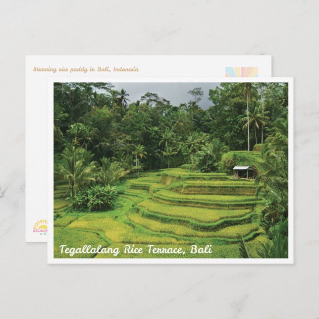 Cartão Postal Bali Rice Terraces Scenic Travel Postcard (Frente/Verso)