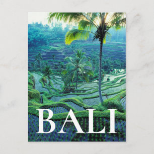 Cartão Postal Bali Visão Geral das Terras de Arroz