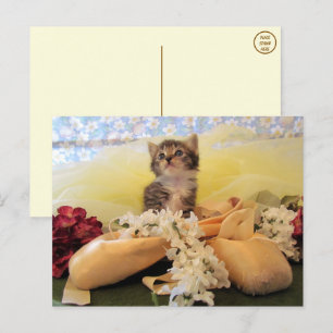 Cartão Postal Ballerina Kate Cat / Cartão-postal de Kitten