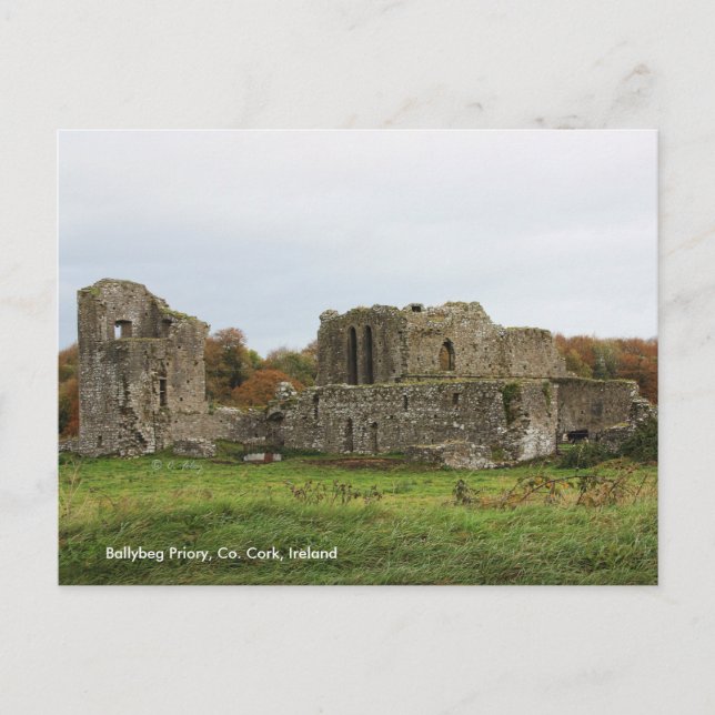 Cartão Postal Ballyberg Priory, Irlanda Cartão-postal (Frente)