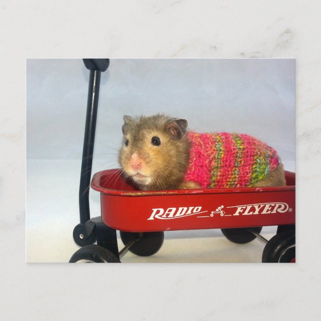 Cartão Postal Baloo vai para uma carona de vagão (Frente)