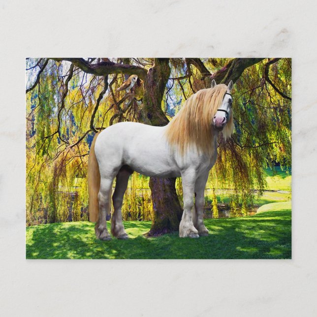 Cartão postal "Balthasar" (Frente)