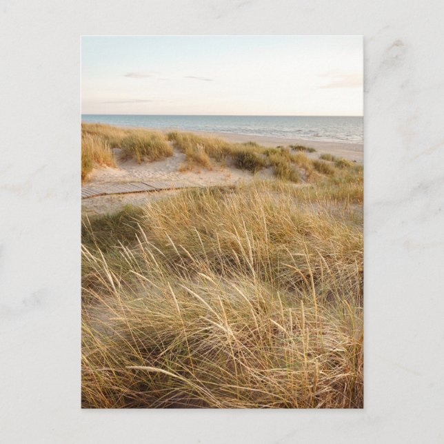 Cartão Postal Baltic sea beach in Liepaja, Latvia (Frente)