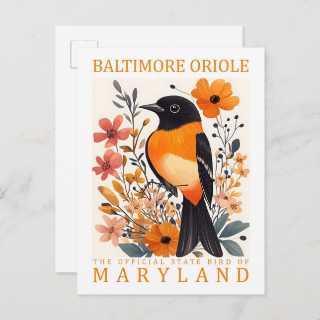 Cartão Postal Baltimore Oriole Bird de Maryland EUA Viagem (Frente/Verso)