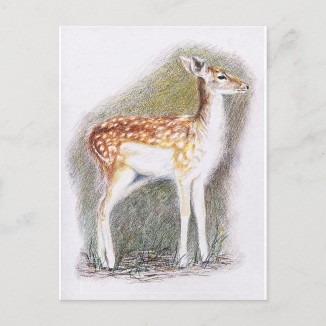 Cartão Postal Bambi (Frente)