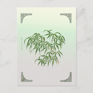 Cartão postal Bamboo