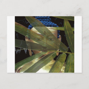 Cartão Postal Bamboo Buddha