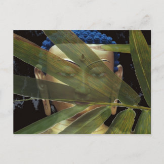 Cartão Postal Bamboo Buddha