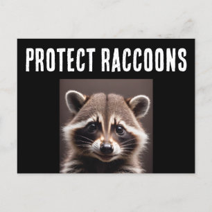 CARTÃO POSTAL BAN TRAPPING AND PROTECT RACCOONS POSTCARTÕES