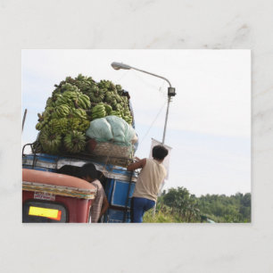 Cartão Postal Bananas