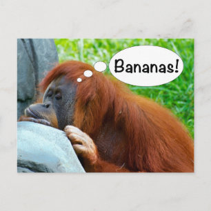 Cartão Postal Bananas!