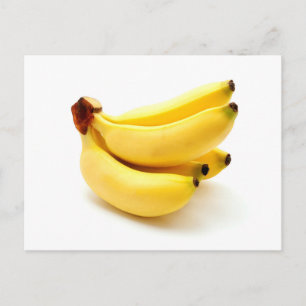 Cartão Postal Bananas Finger de Dama em um fundo branco