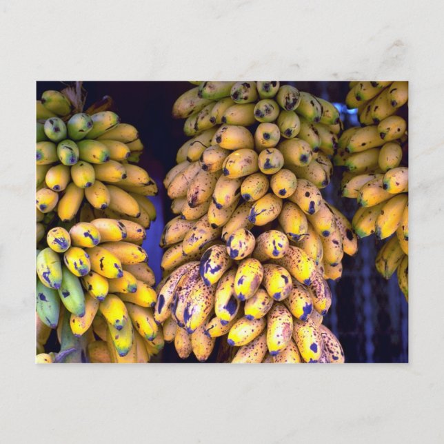 Cartão Postal Bananas para venda no mercado, Porto Rico (Frente)