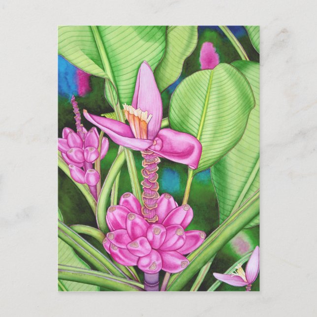 Cartão Postal Bananas rosa (Frente)