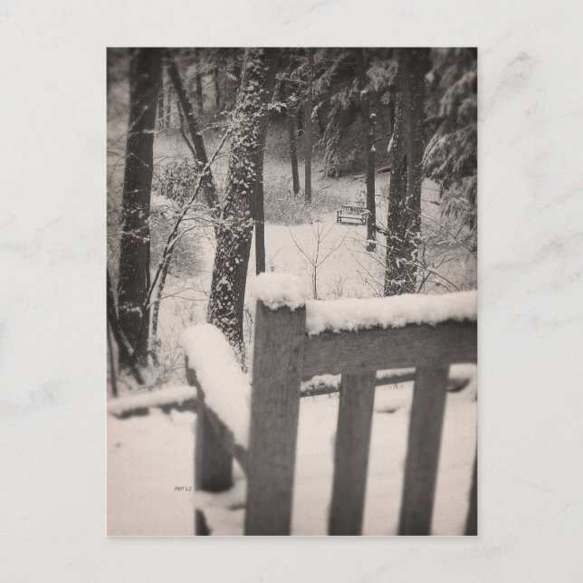 Cartão Postal Bancos de neve cobertos (Frente)