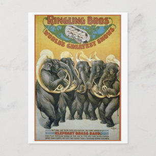 Cartão Postal Banda de latão de elefantes de circo