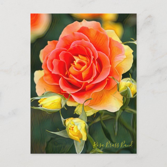 Cartão Postal Banda Rosa Brass [Cartão postal] (Frente)