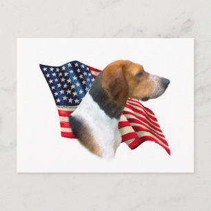 Cartão Postal Bandeira Americana do Foxhound