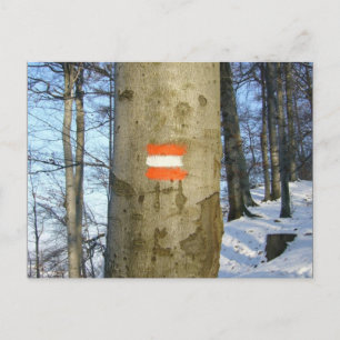 Cartão Postal bandeira áustria inverno