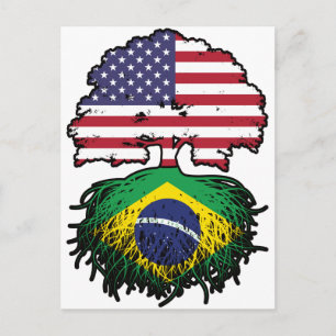 Cartão Postal Bandeira Brasil EUA Americano Raízes Árvore