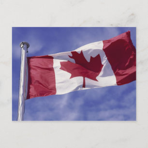 Cartão Postal bandeira canadense