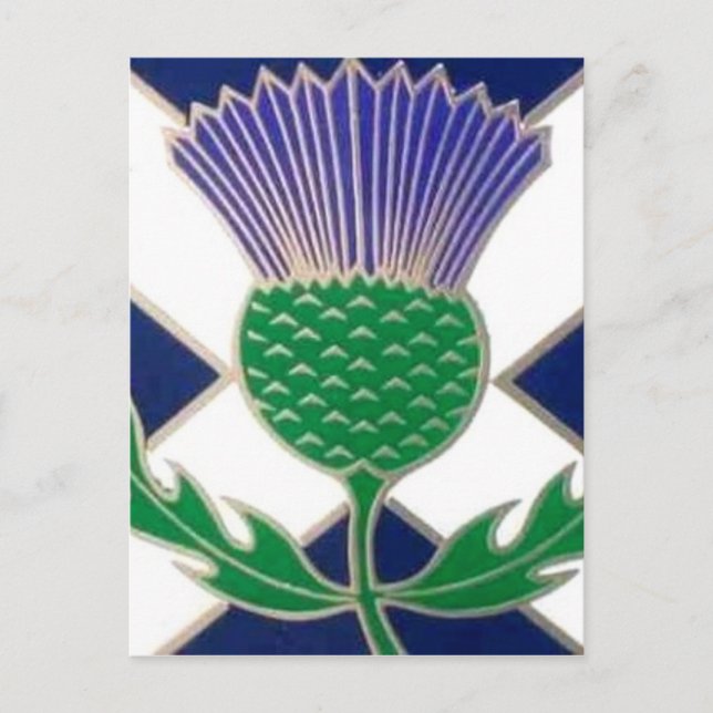 Cartão Postal Bandeira da Escócia e Thistle (Frente)