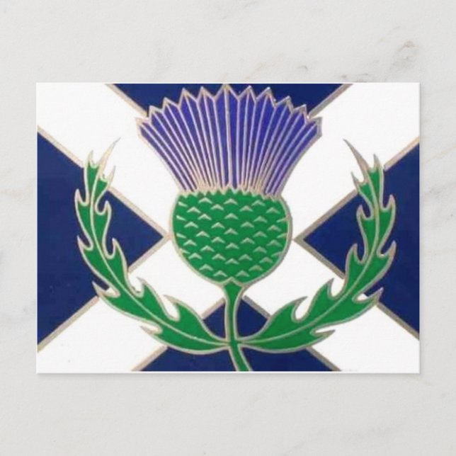 Cartão Postal Bandeira da Escócia e Thistle (Frente)