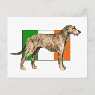 Cartão Postal Bandeira da Irlanda do Wolfhound Gear