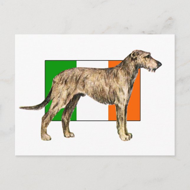 Cartão Postal Bandeira da Irlanda Irish wolfhound Engrenagem (Frente)
