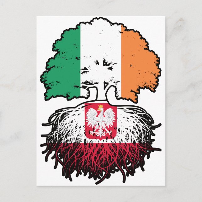 Cartão Postal Bandeira das Raízes da Árvore da Irlanda do Polôni (Frente)