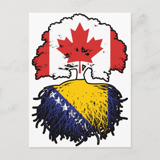 Cartão Postal Bandeira das Raízes da Árvore do Canadá na Bósnia- (Frente)