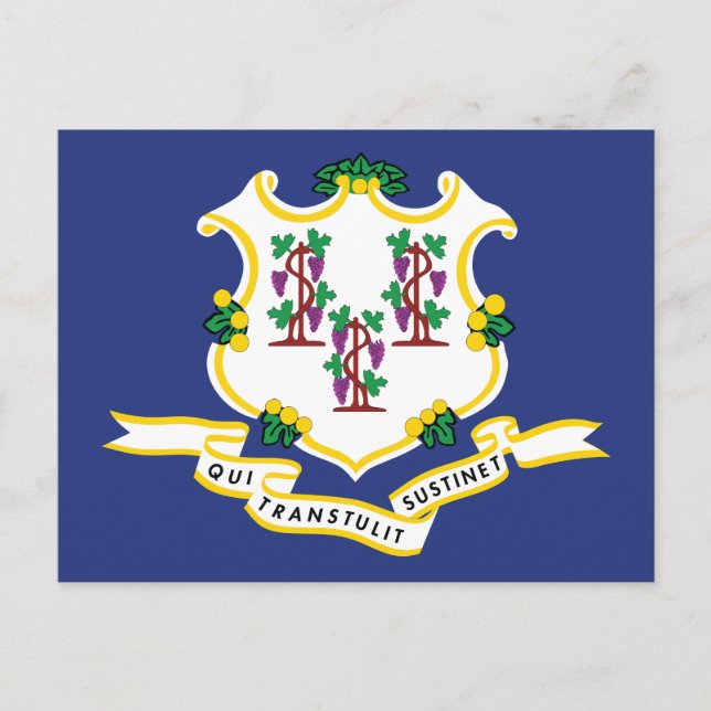 Cartão Postal Bandeira de Connecticut Lembrança Estado da Noz-mo (Frente)