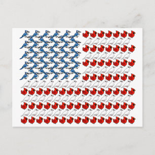 Cartão Postal Bandeira de Pássaros dos EUA