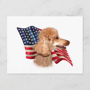 Cartão Postal Bandeira de Poodle (dourado)