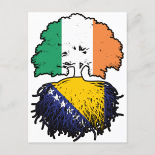 Cartão Postal Bandeira de Raízes de Árvore da Bósnia e Irlanda