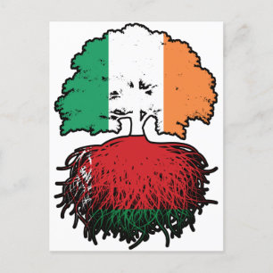 Cartão Postal Bandeira de Raízes de Árvores na Irlanda da Bielor