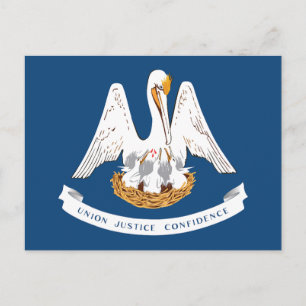 Cartão Postal Bandeira do Estado da Louisiana Pelicano Lembrança