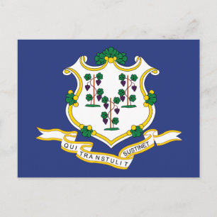 Cartão Postal Bandeira do Estado de Conexão Patriótico