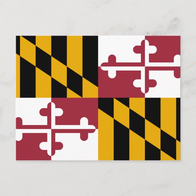 Cartão Postal Bandeira do Estado de Maryland (Frente)