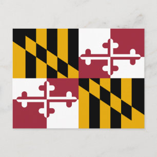 Cartão Postal Bandeira do Estado de Maryland