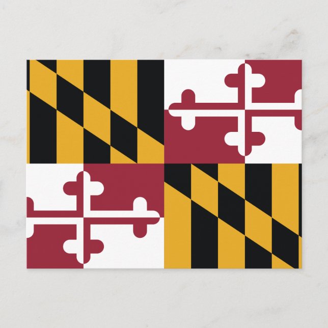 Cartão Postal Bandeira do Estado de Maryland Cruz de Calvert (Frente)
