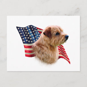 Cartão Postal Bandeira do Norfolk Terrier
