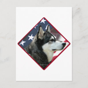 Cartão Postal Bandeira Malamute do Alasca 2