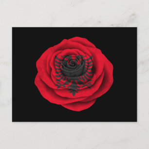 Cartão Postal Bandeira Rosa albanesa em preto