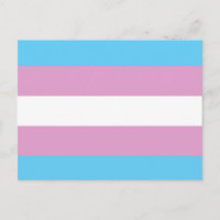 Bandeira Trans Original -.png