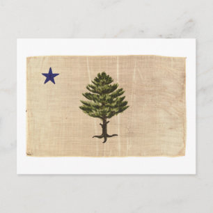 Cartão Postal Bandeira Vintage do Maine de 1901