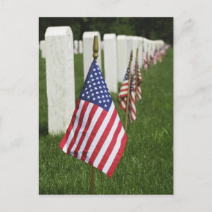 Cartão Postal Bandeiras americanas nos túmulos de veteranos amer