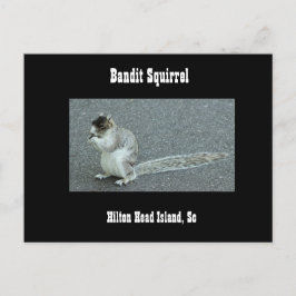 Cartão Postal Bandit Squirrel